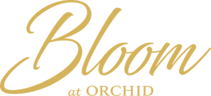 Bloom at Orchid